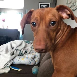 Meet your Posher, Denise